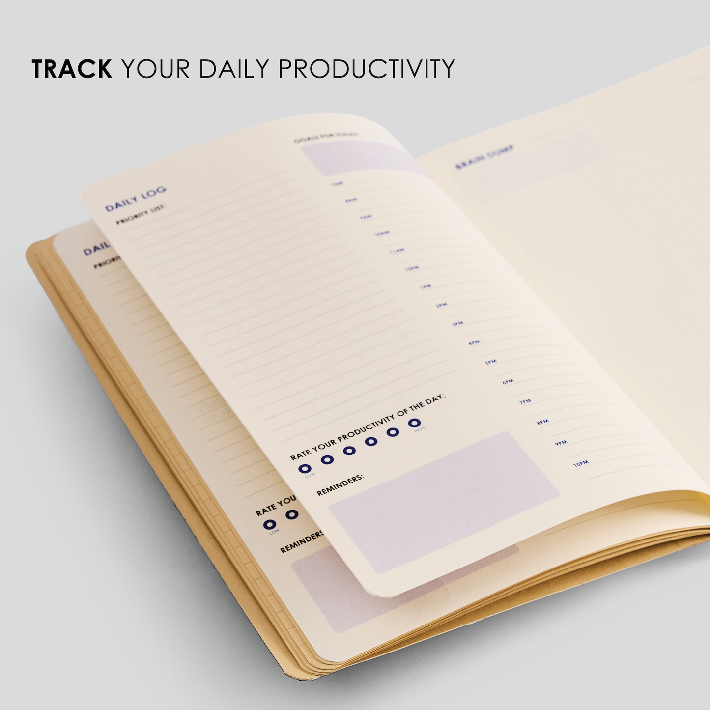 12 Week Productivity Journal